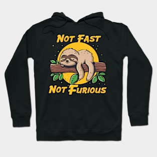 Not Fast Not Furious Funny Sloth Quote Hoodie